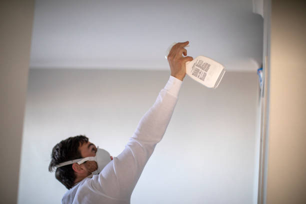 Best Mold Remediation  in Campbell, MO