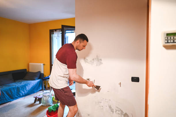 Best Mold Removal Near Me  in Campbell, MO
